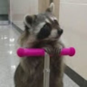 Meet your Posher, Noah